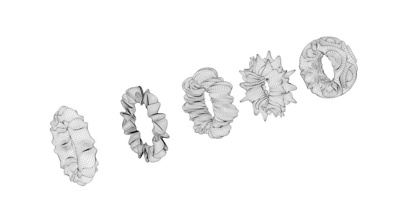 Organic Torus Set 3D print model_4