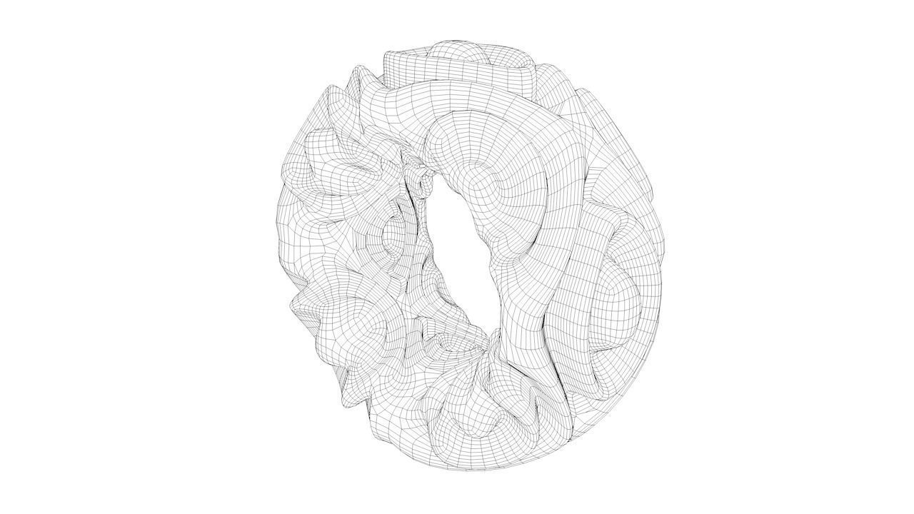 Organic Torus Set 3D print model_5