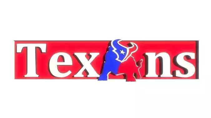 Texans Bull banner