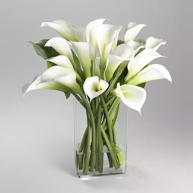Flower bouquet of calla lilies in clear vase Free 3D model_0