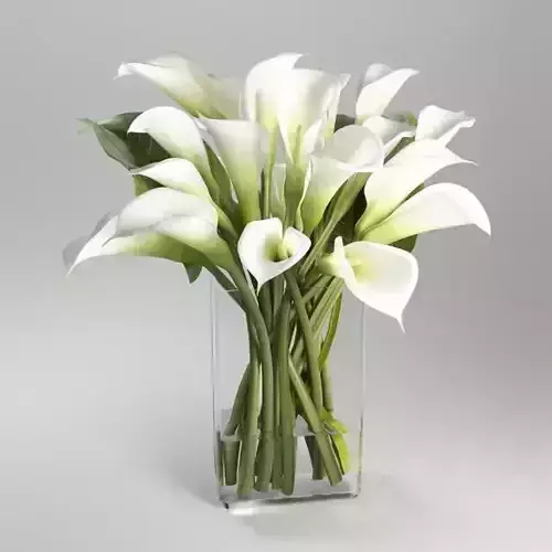 Flower bouquet of calla lilies in clear vase
