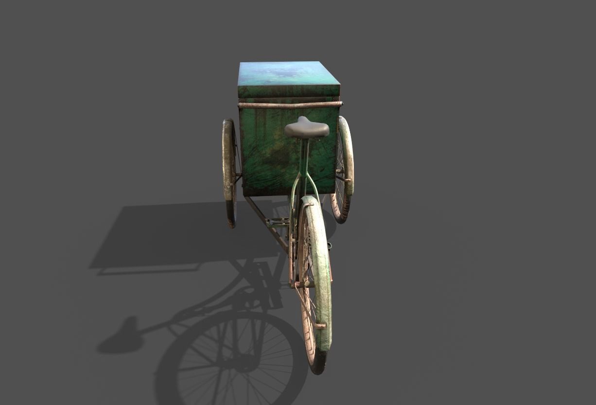 Tricycle With Storage 3D model_3