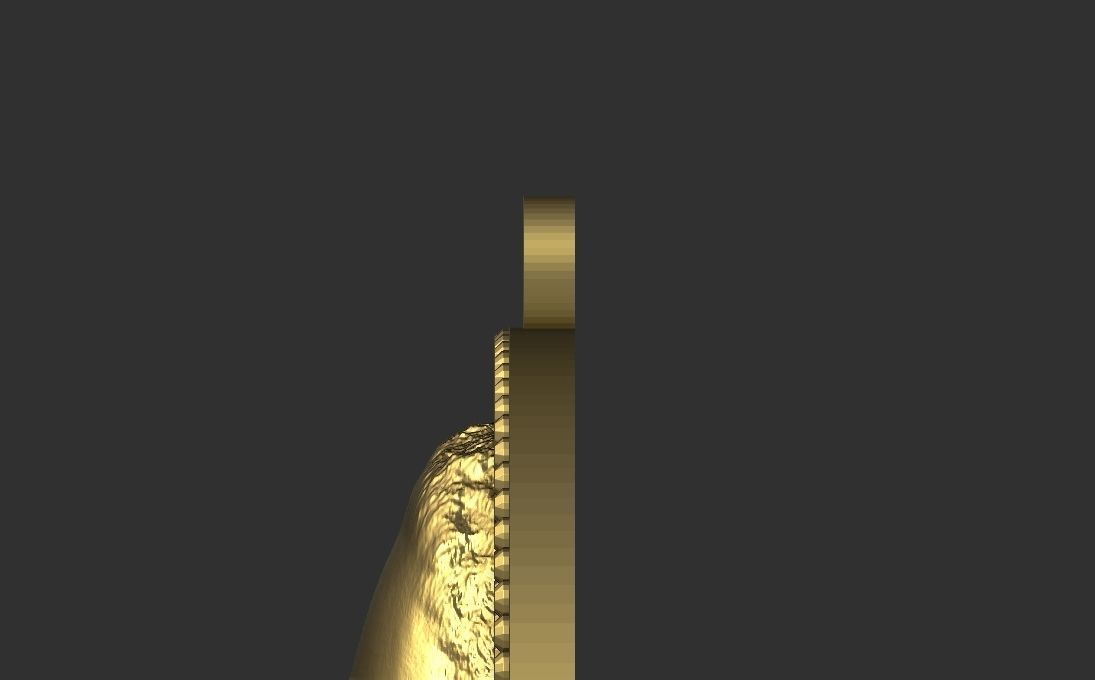 Snoop Dogg medallion pendant 3D printing ready stl obj 3D print model_23