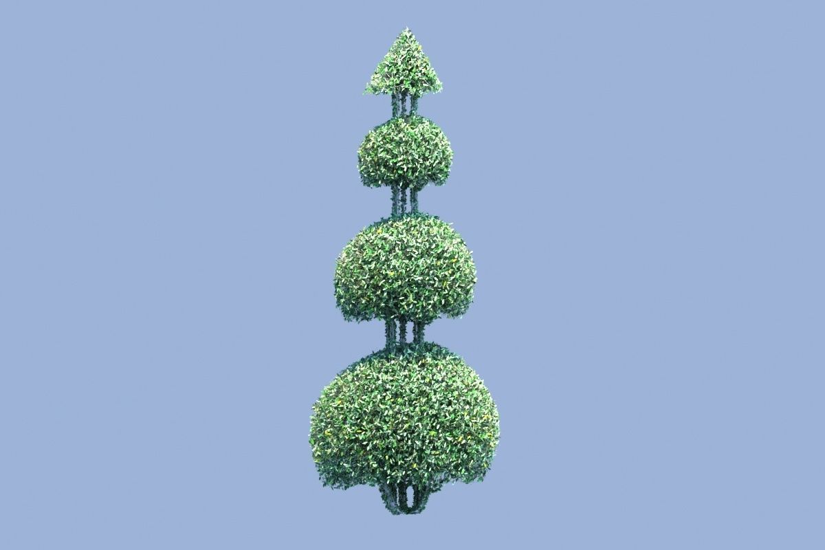 Bush plant Low-poly 3D model_5