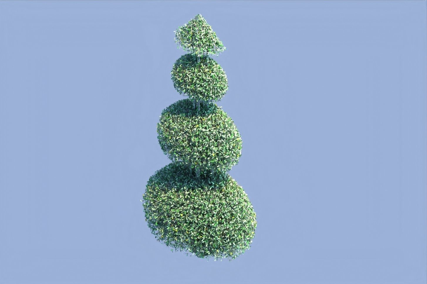 Bush plant Low-poly 3D model_9