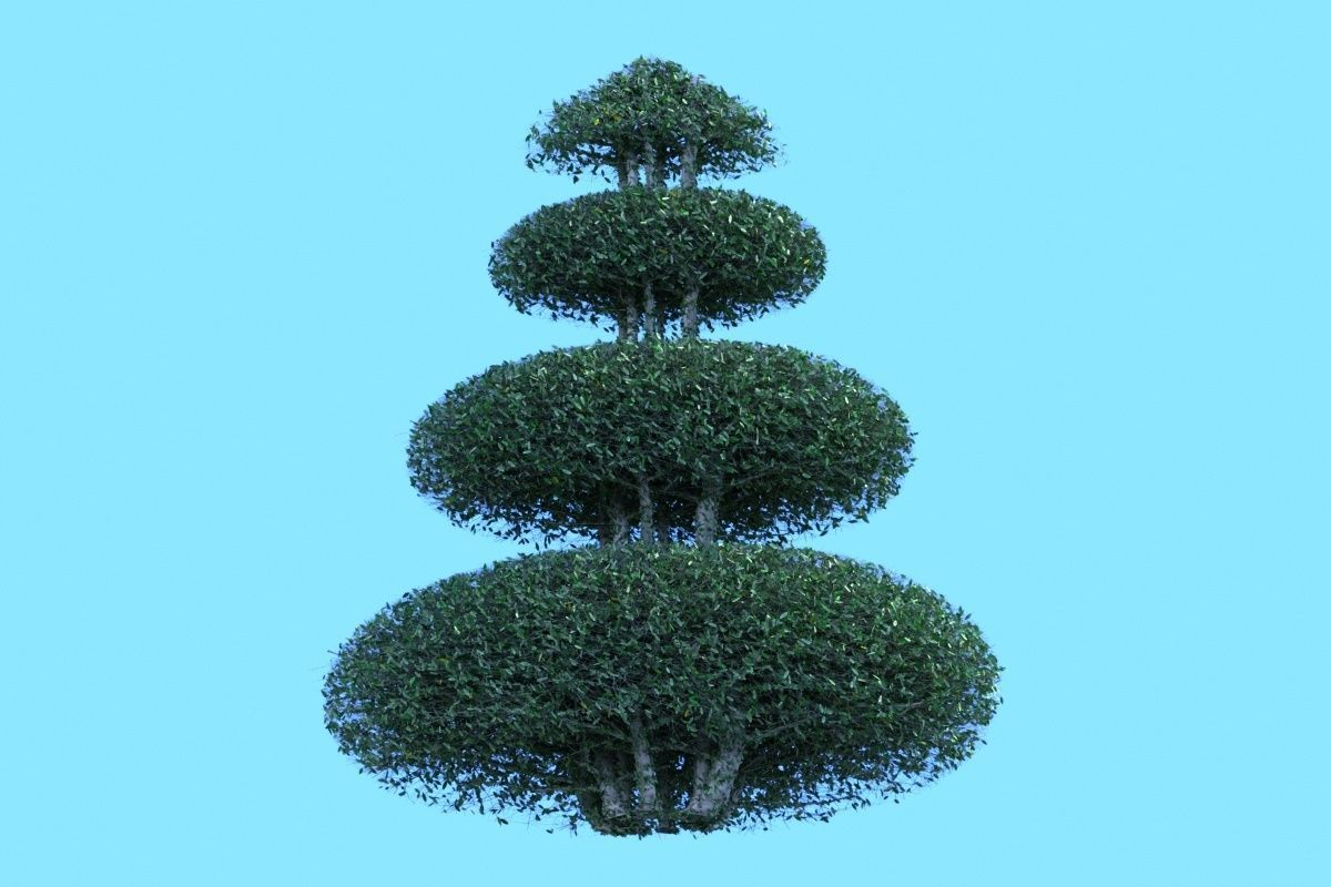 Bush plant Low-poly 3D model_10