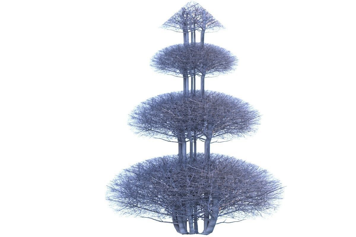 Bush plant Low-poly 3D model_1