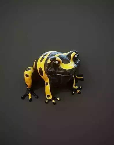 Cartoon Yellow-banded Frog 3D Model Low-poly 3D model