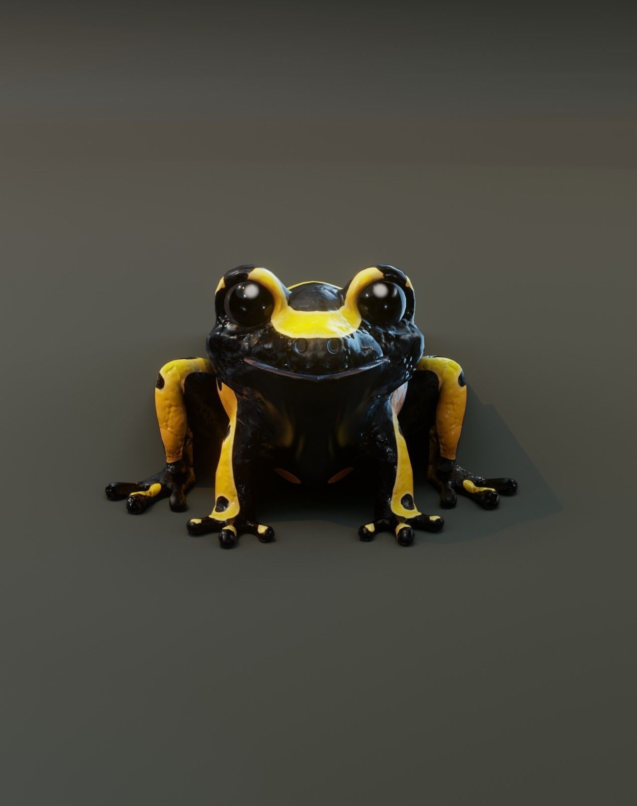Cartoon Yellow-banded Frog 3D Model Low-poly 3D model_14