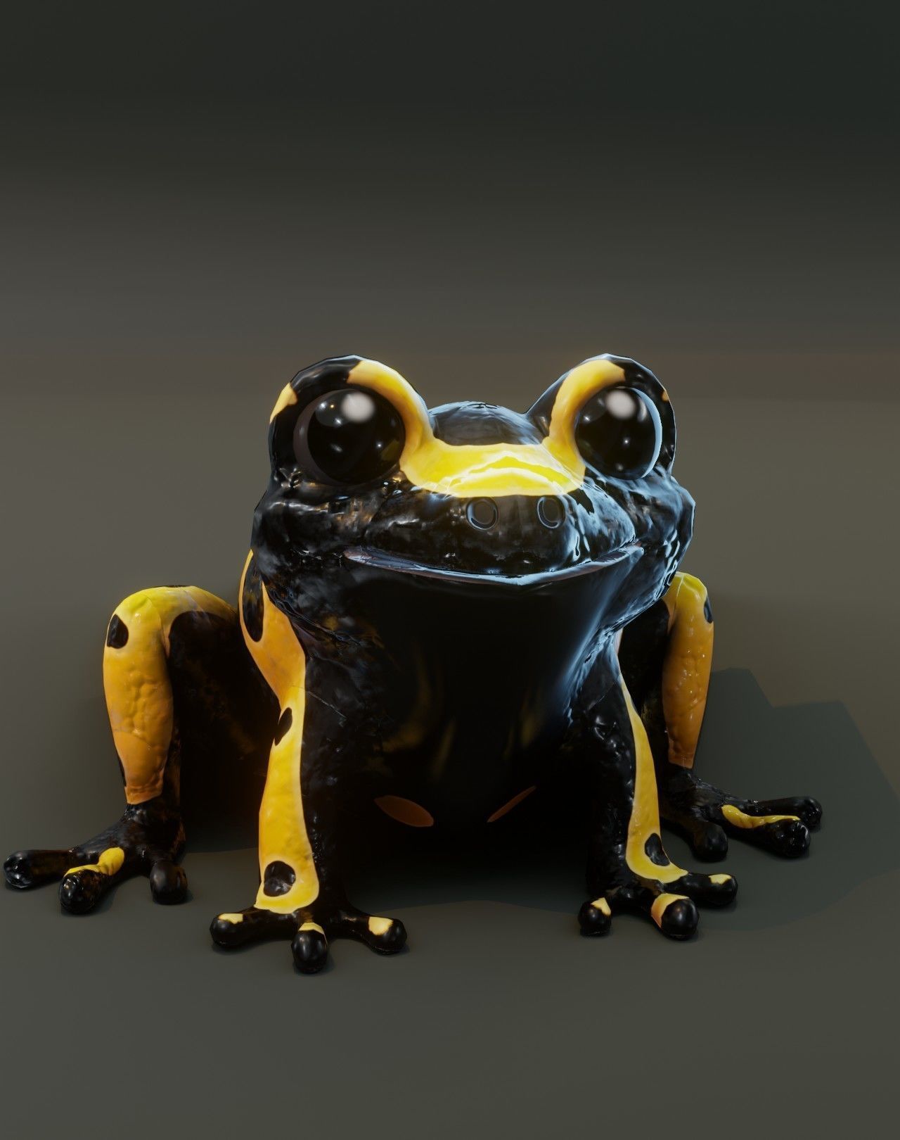 Cartoon Yellow-banded Frog 3D Model Low-poly 3D model_19