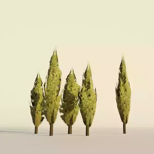 Poplar tree set Cartoon Stylized Hand painted