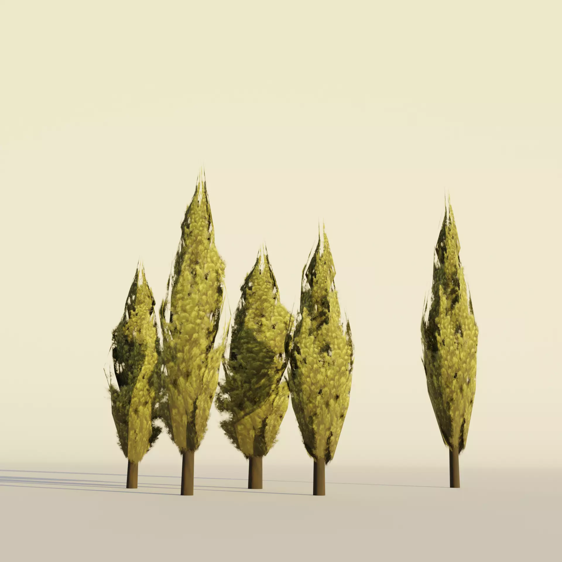 Poplar tree set Cartoon Stylized Hand painted Low-poly 3D model