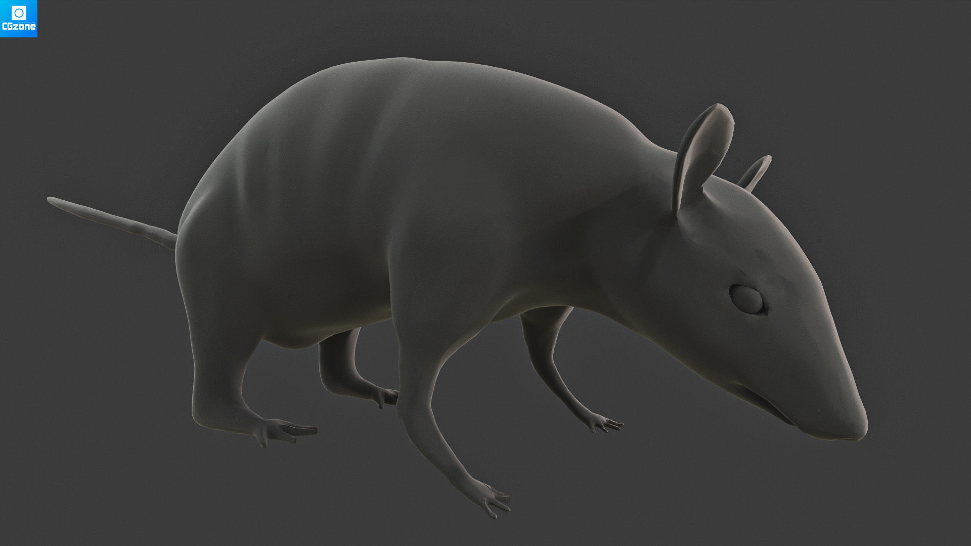 Mouse  Rat Low-poly 3D model_9