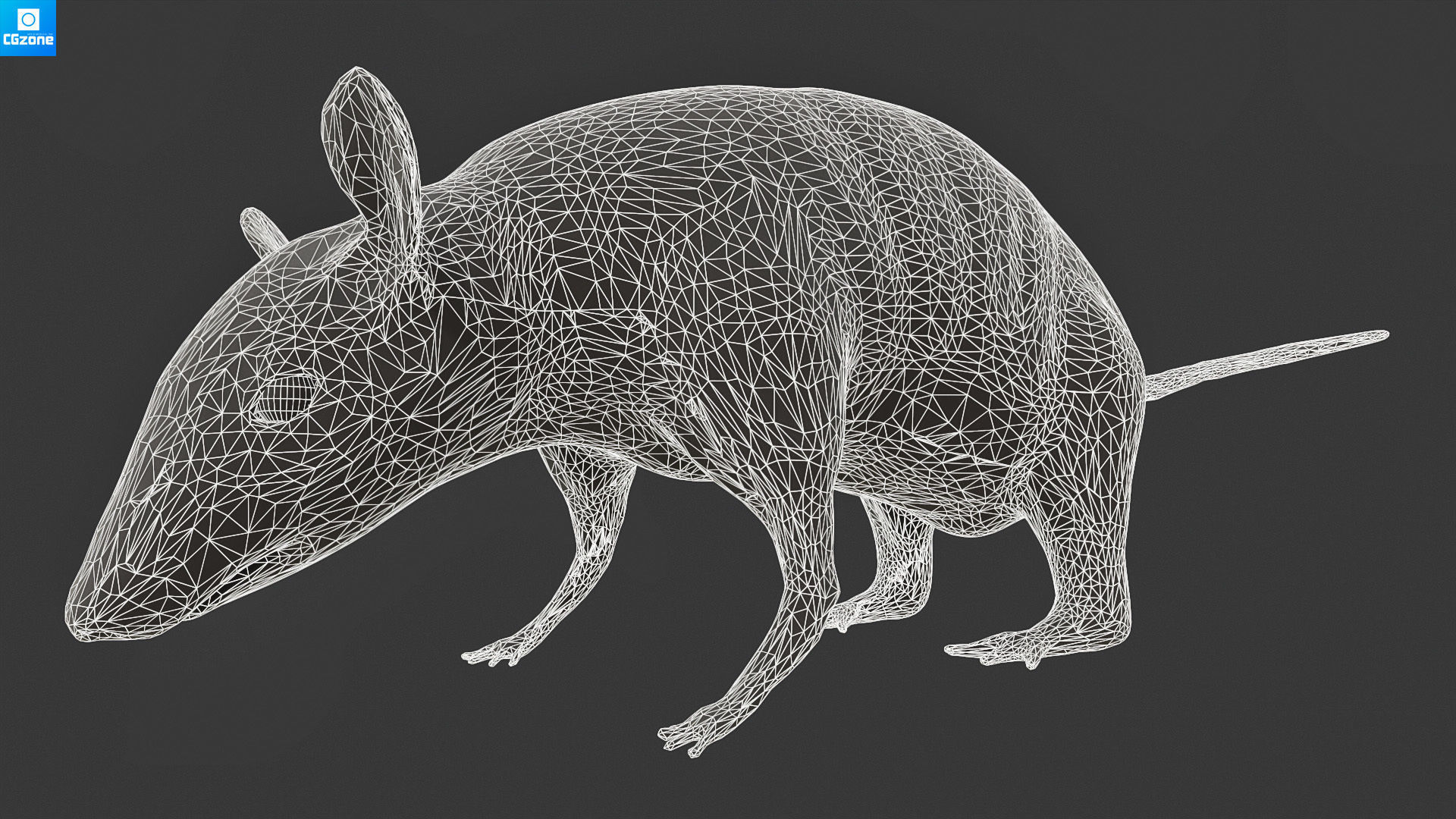 Mouse  Rat Low-poly 3D model_11