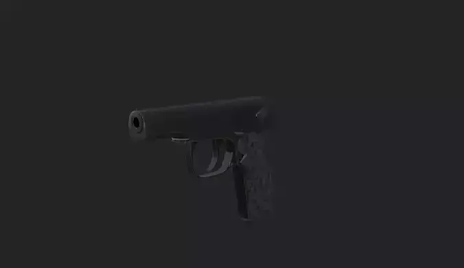 Makarov PM