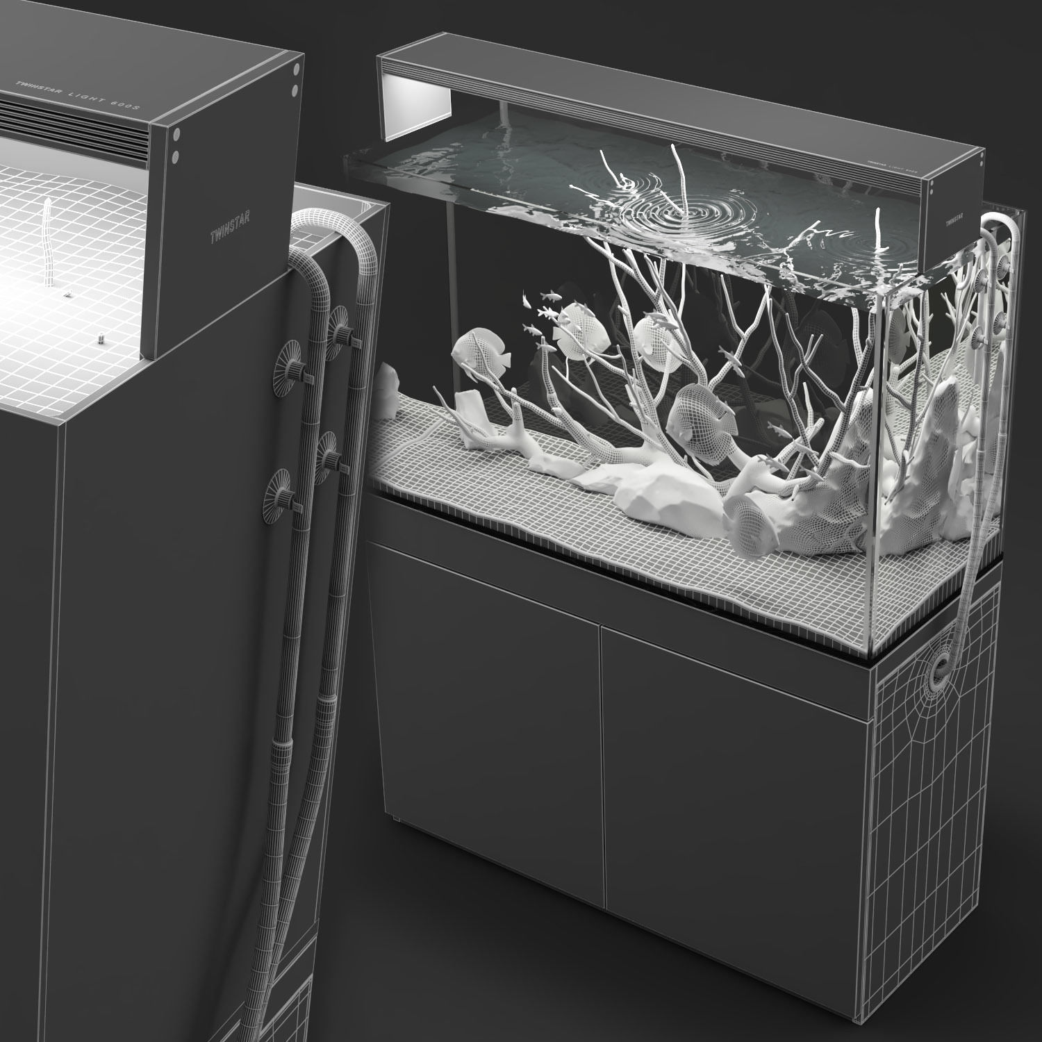 Aquarium discus fish 3D model_6