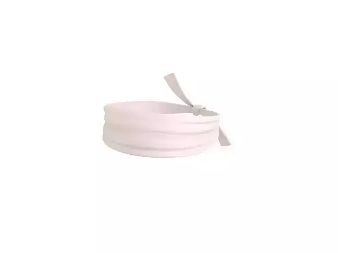 Kungfu Headband 3D model