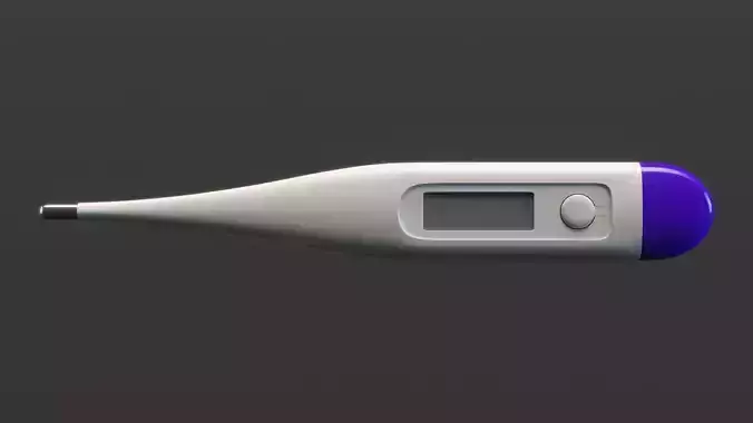 Digital Thermometer