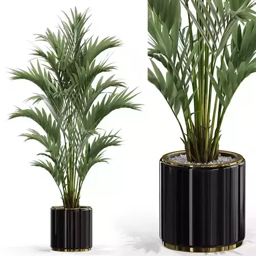 Plants collection 560