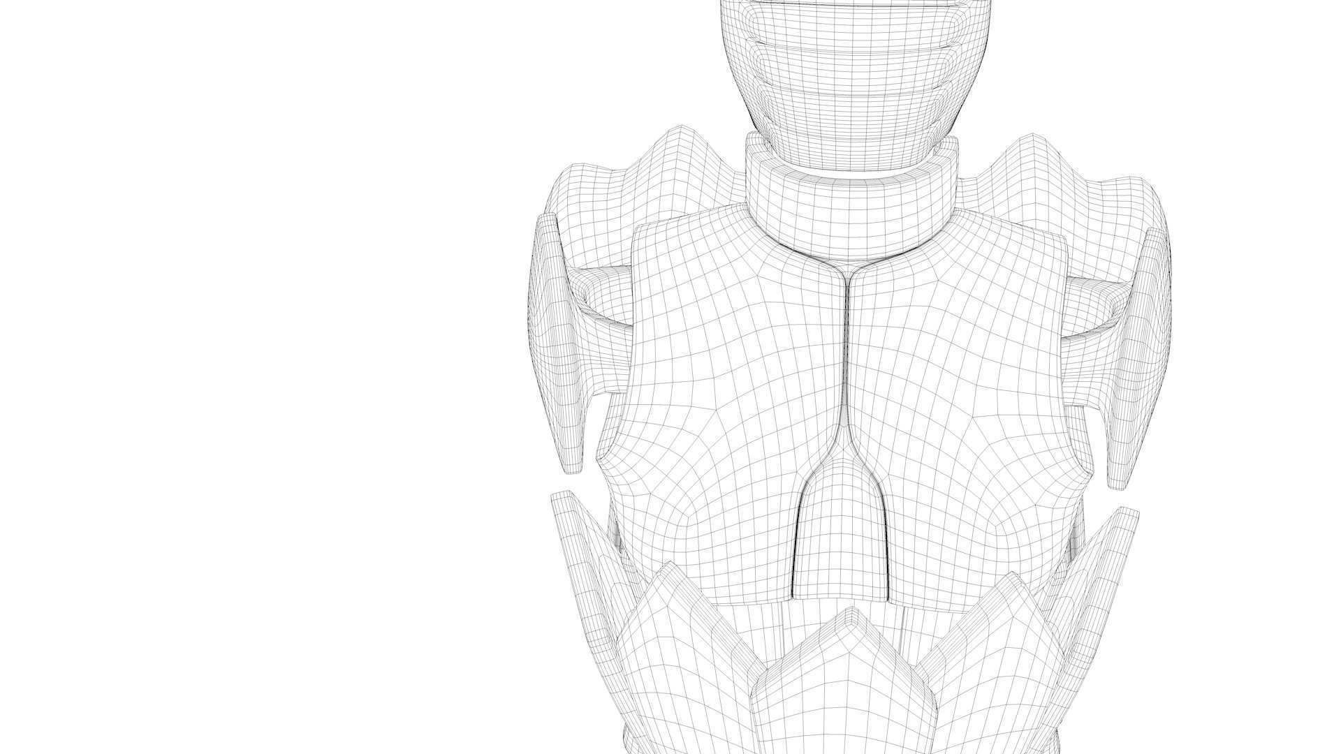 Shiryu Dragon Cloth Low-poly 3D model_20