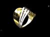 Ring Curves 3D print model_1