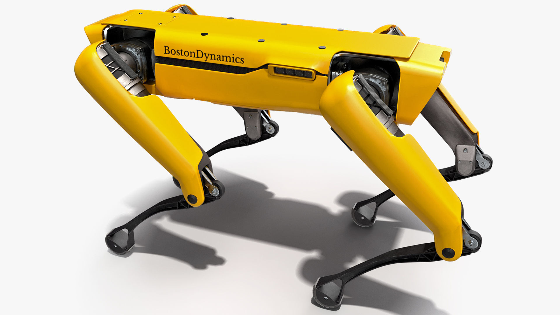 SpotMini Boston Dynamics Robot 3D model_5