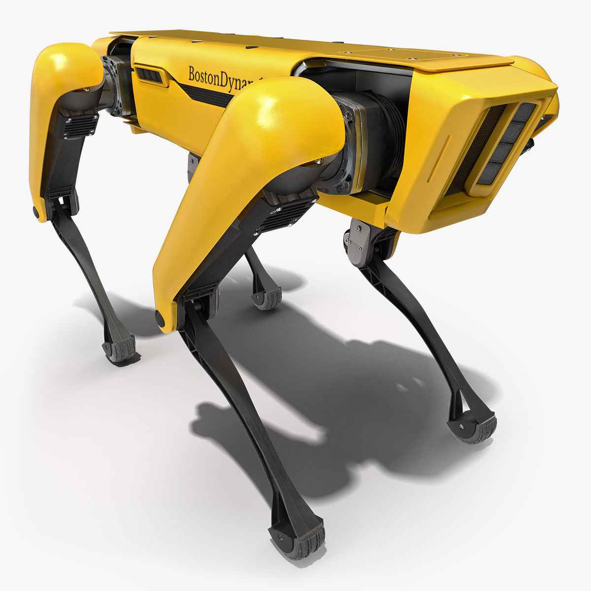 SpotMini Boston Dynamics Robot 3D model_1