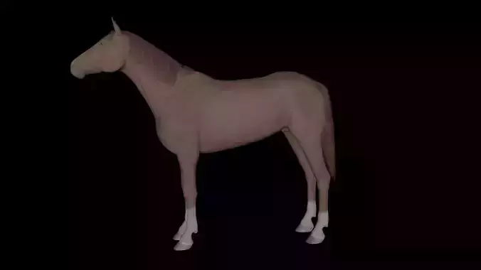 Horse High Poly Character