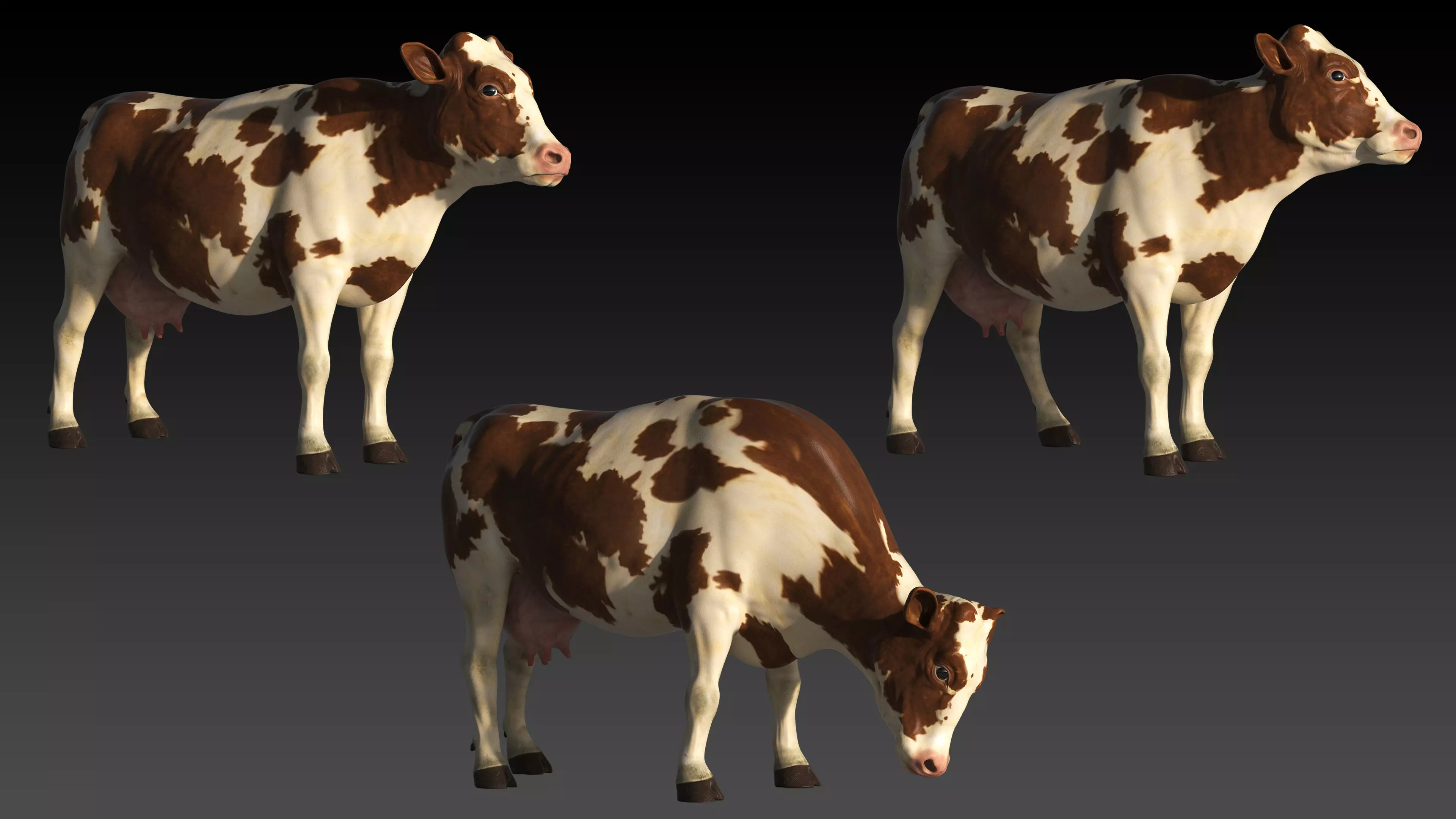 COW-ZTL cow Low-poly 3D model_0