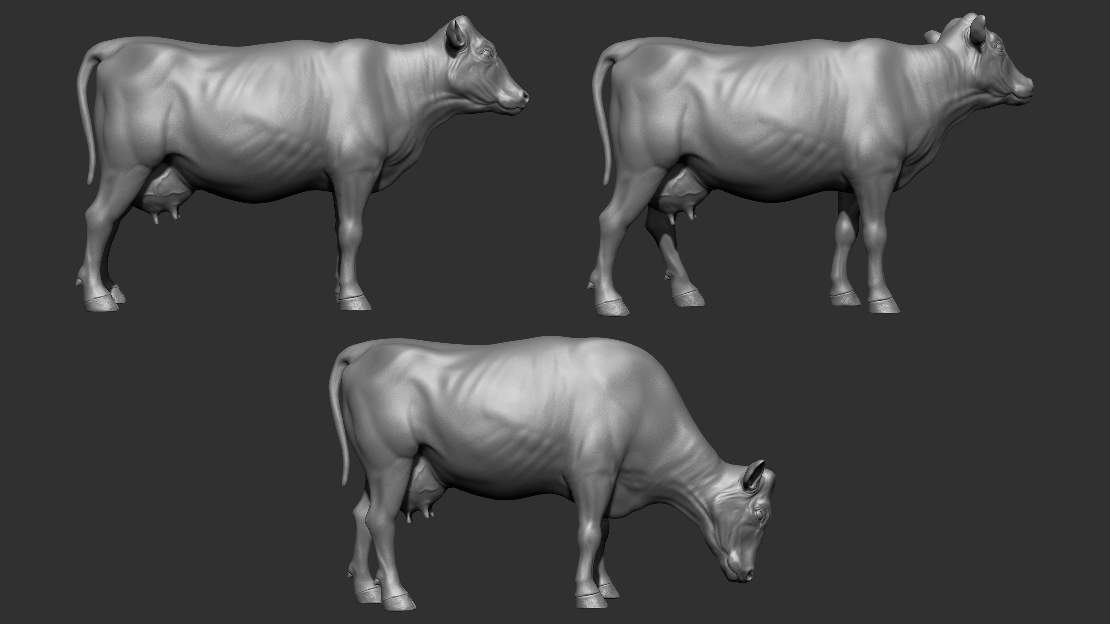 COW-ZTL cow Low-poly 3D model_9