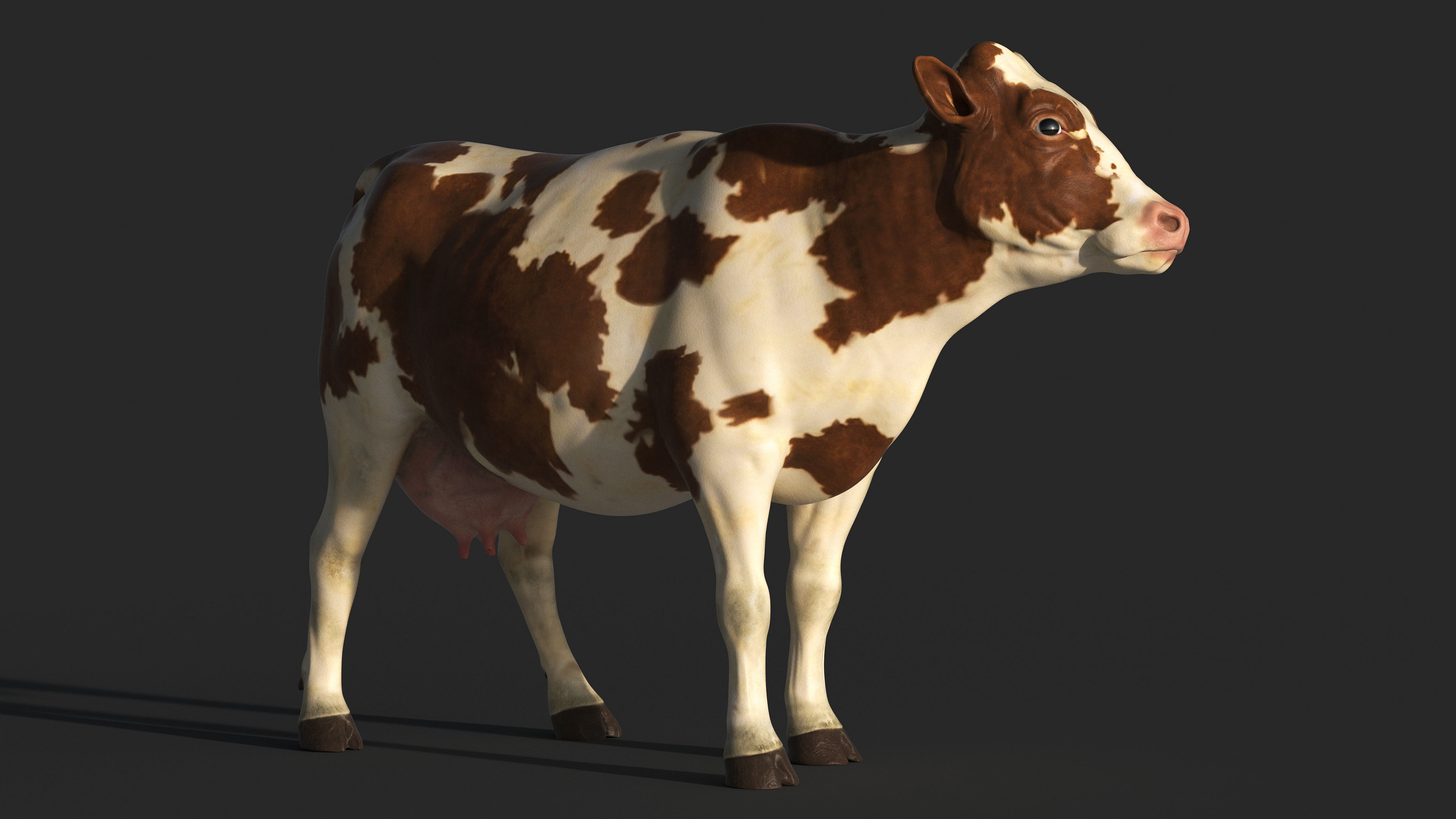 COW-ZTL cow Low-poly 3D model_3