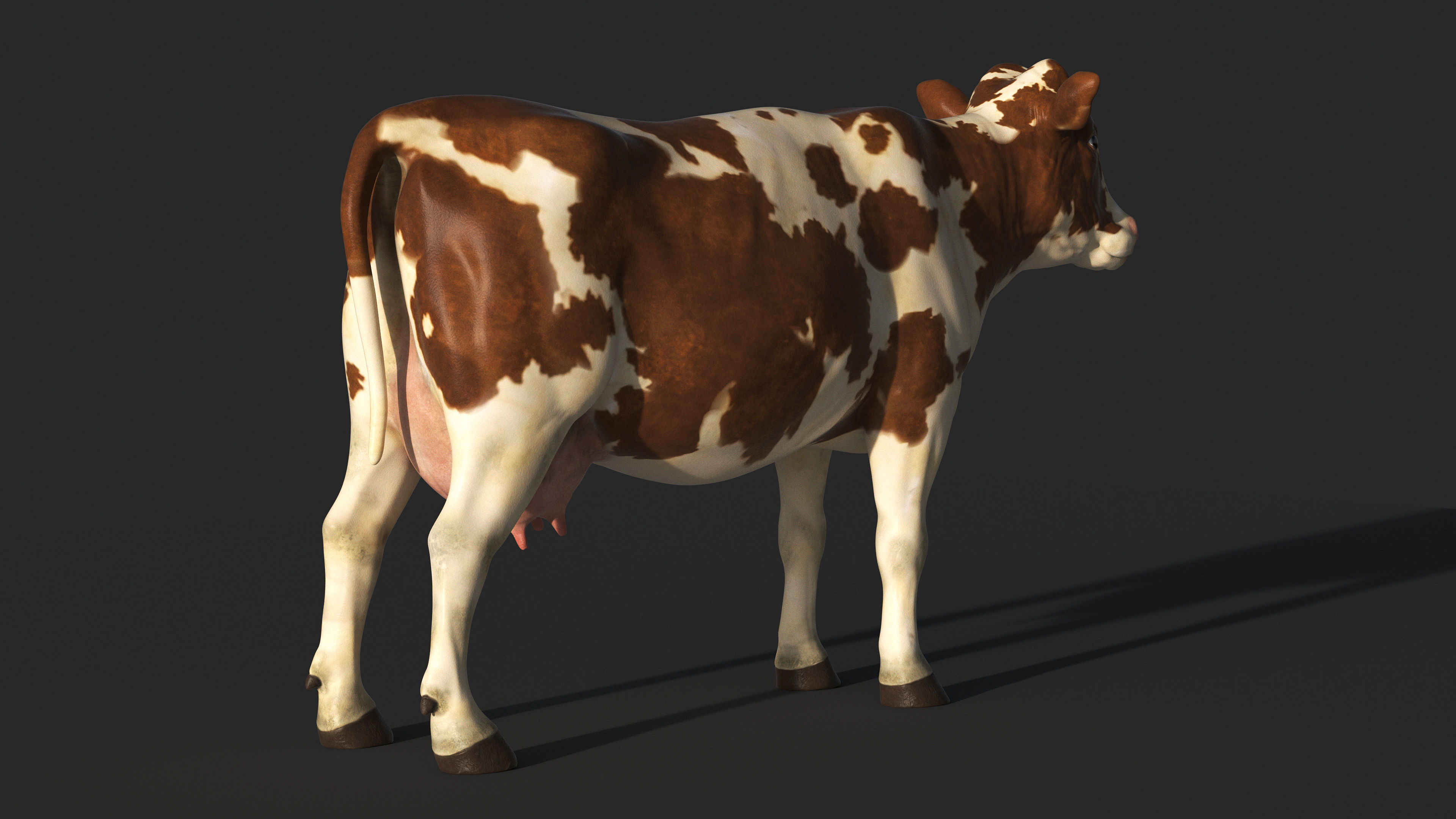 COW-ZTL cow Low-poly 3D model_6