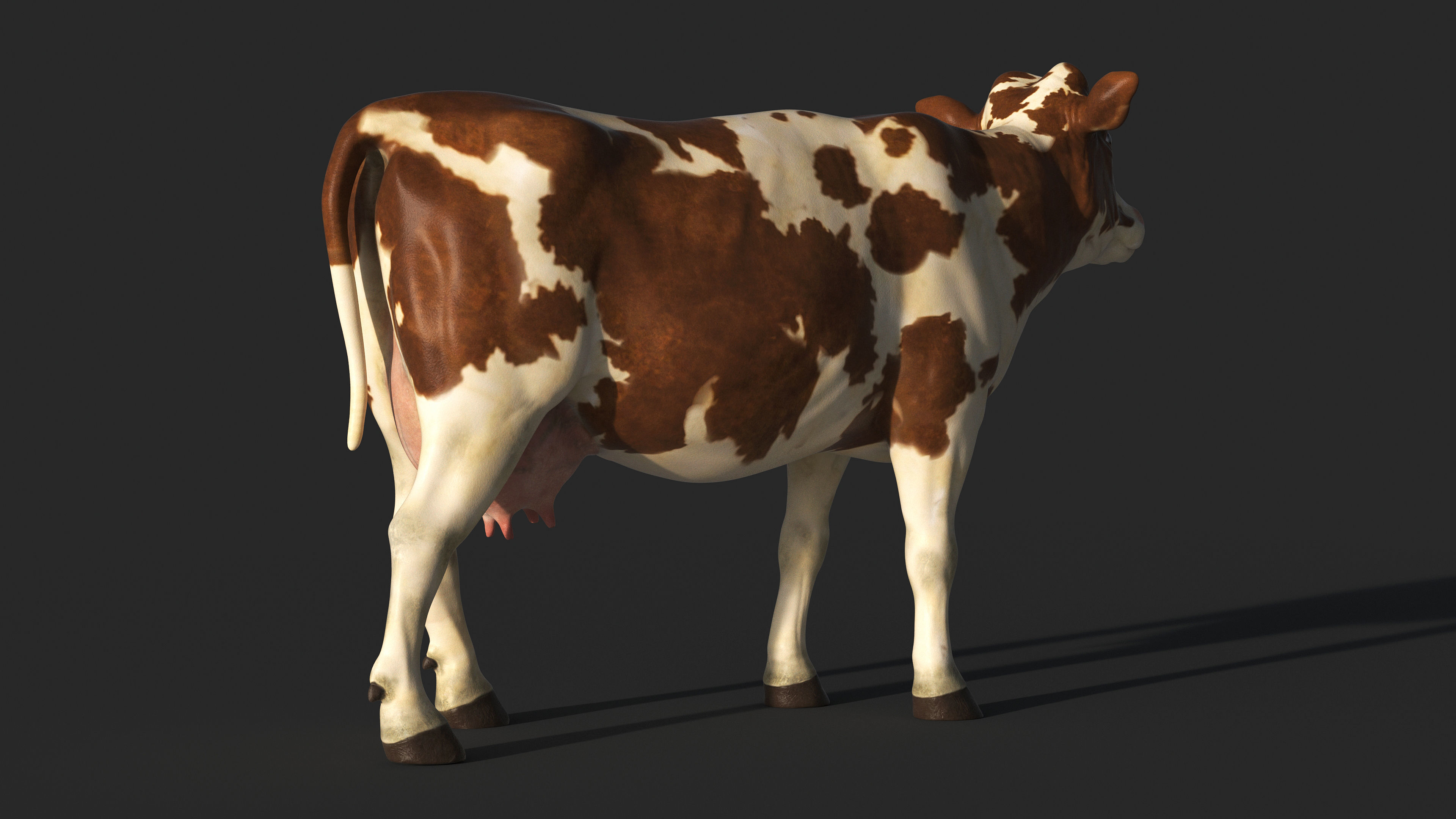 COW-ZTL cow Low-poly 3D model_7
