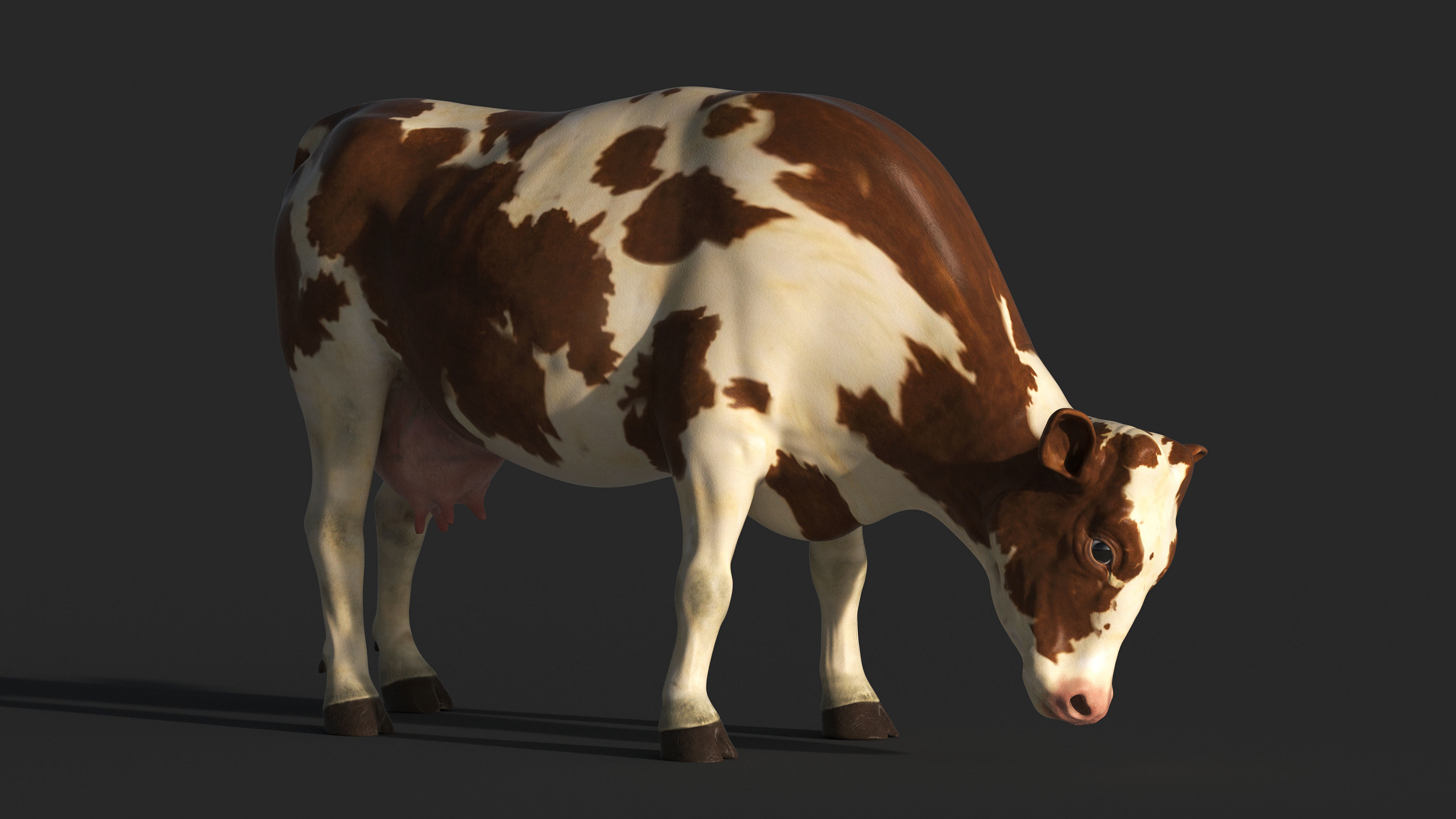 COW-ZTL cow Low-poly 3D model_4