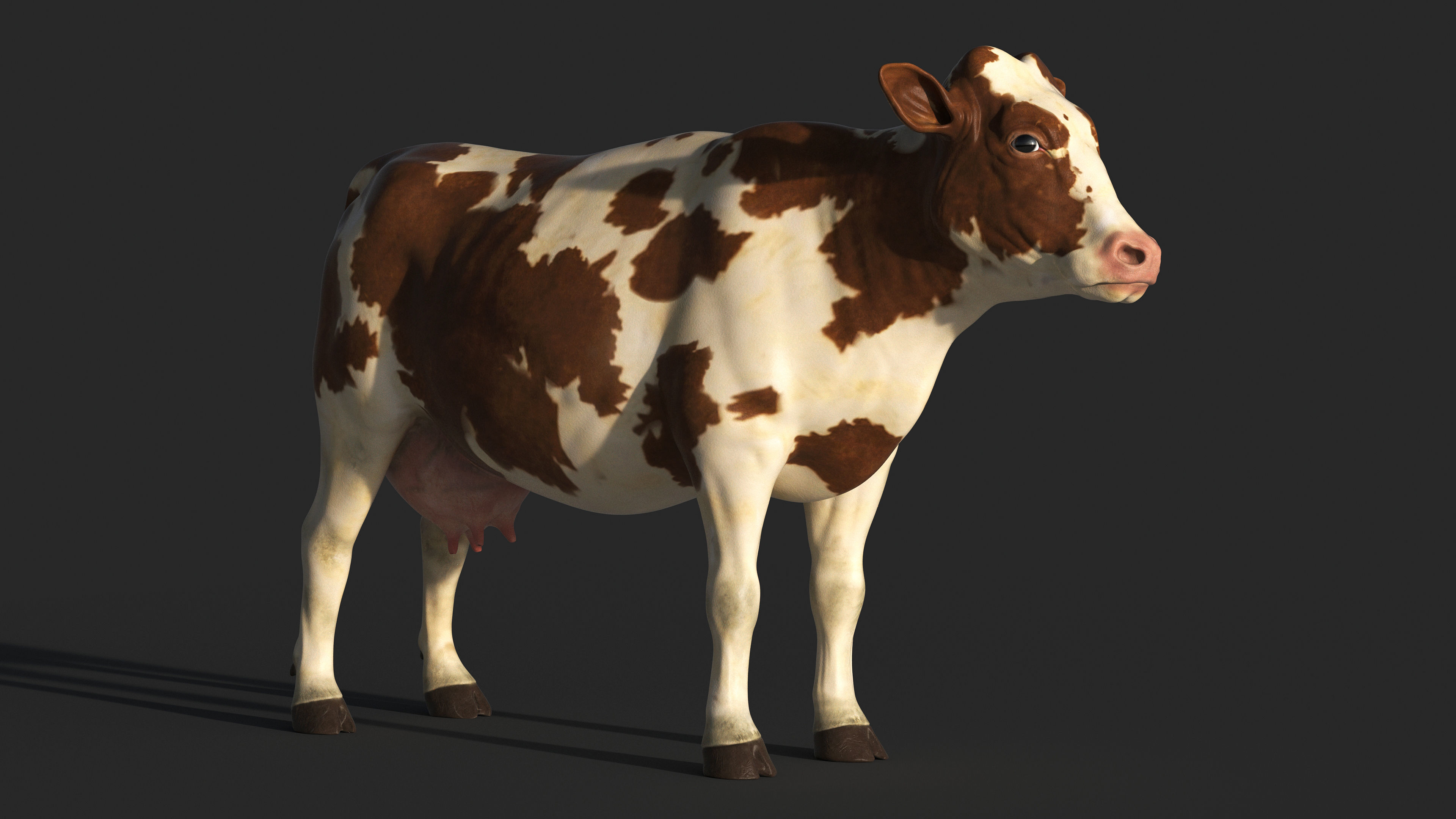 COW-ZTL cow Low-poly 3D model_2