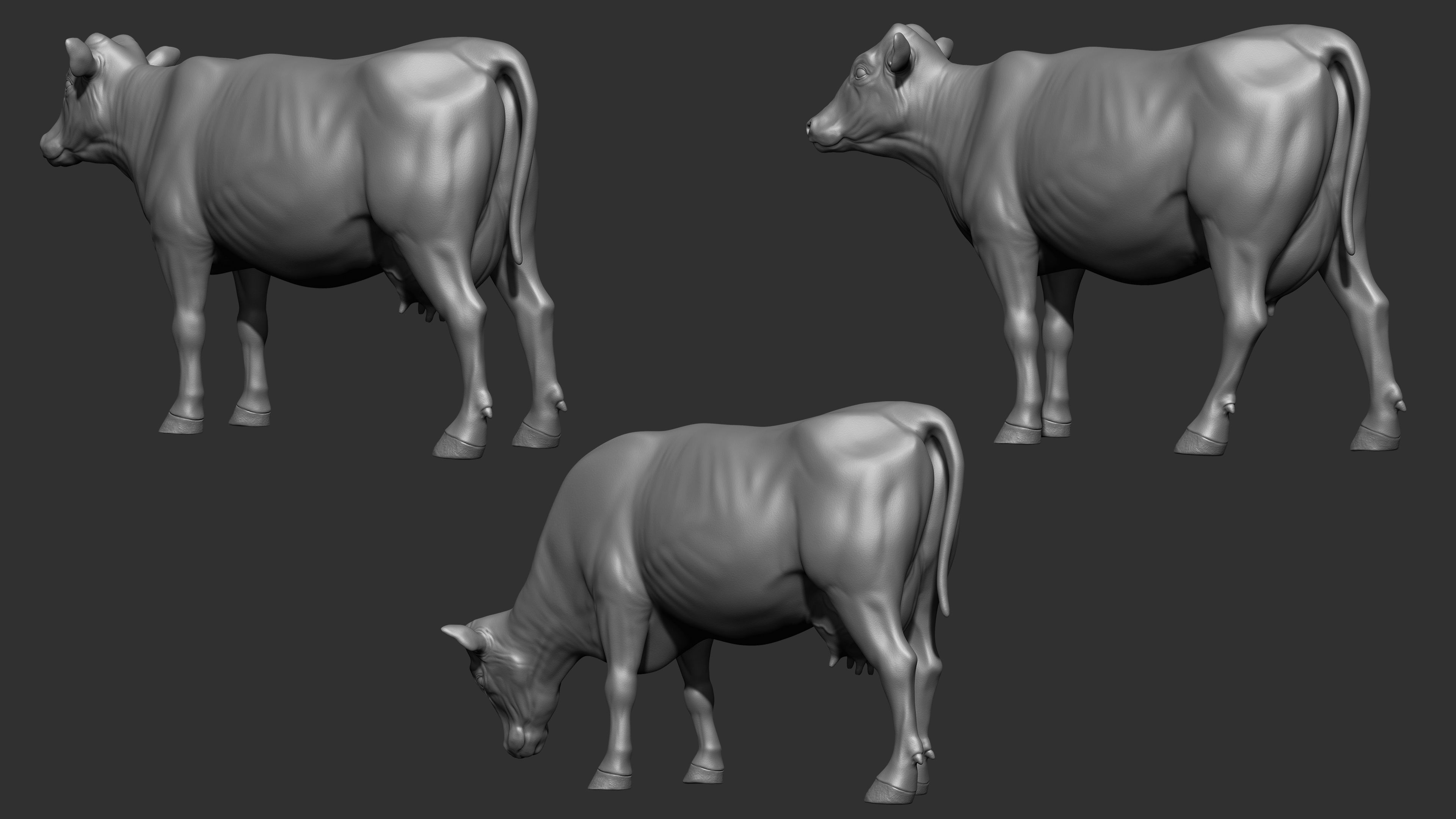 COW-ZTL cow Low-poly 3D model_5