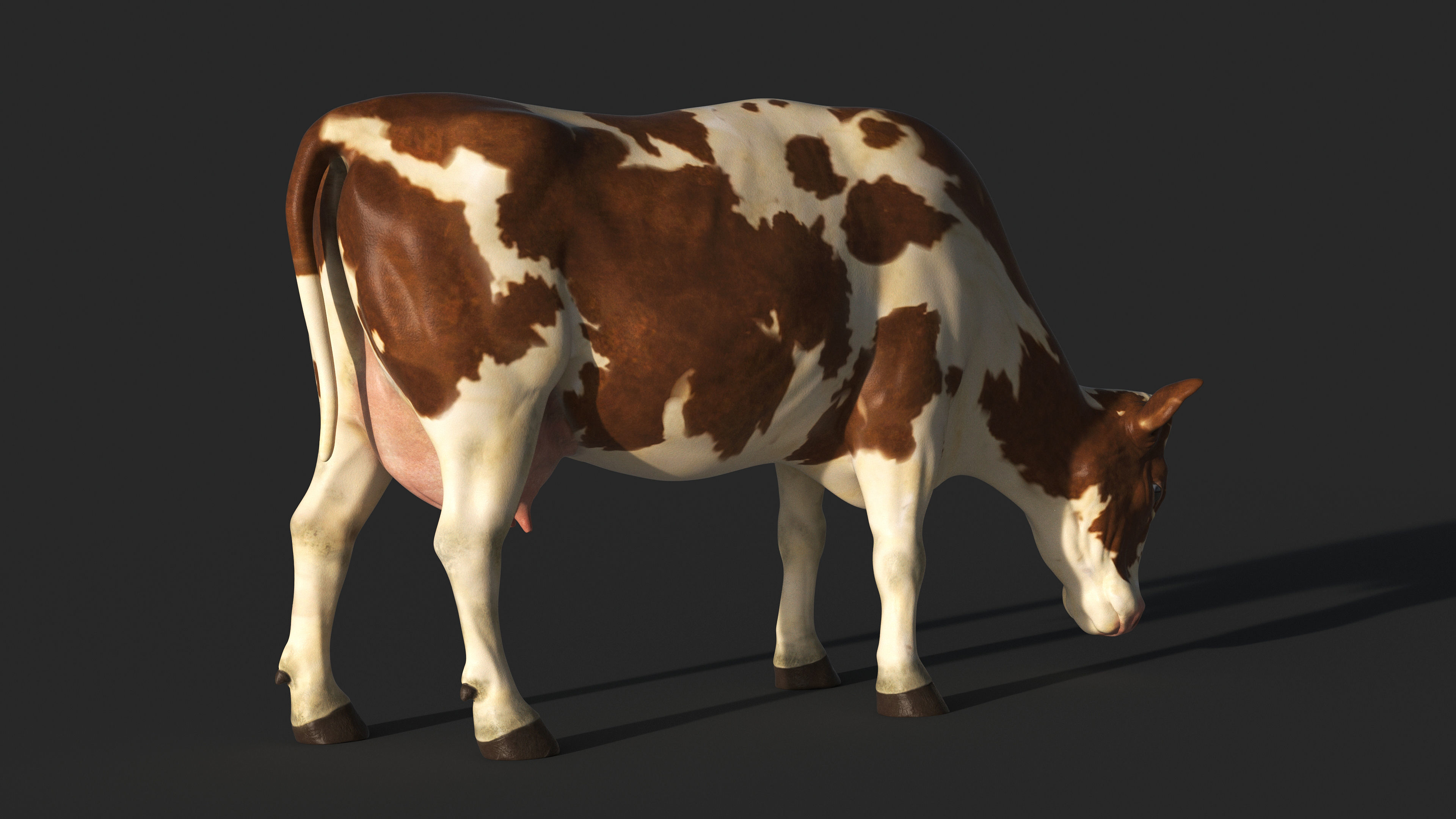 COW-ZTL cow Low-poly 3D model_8