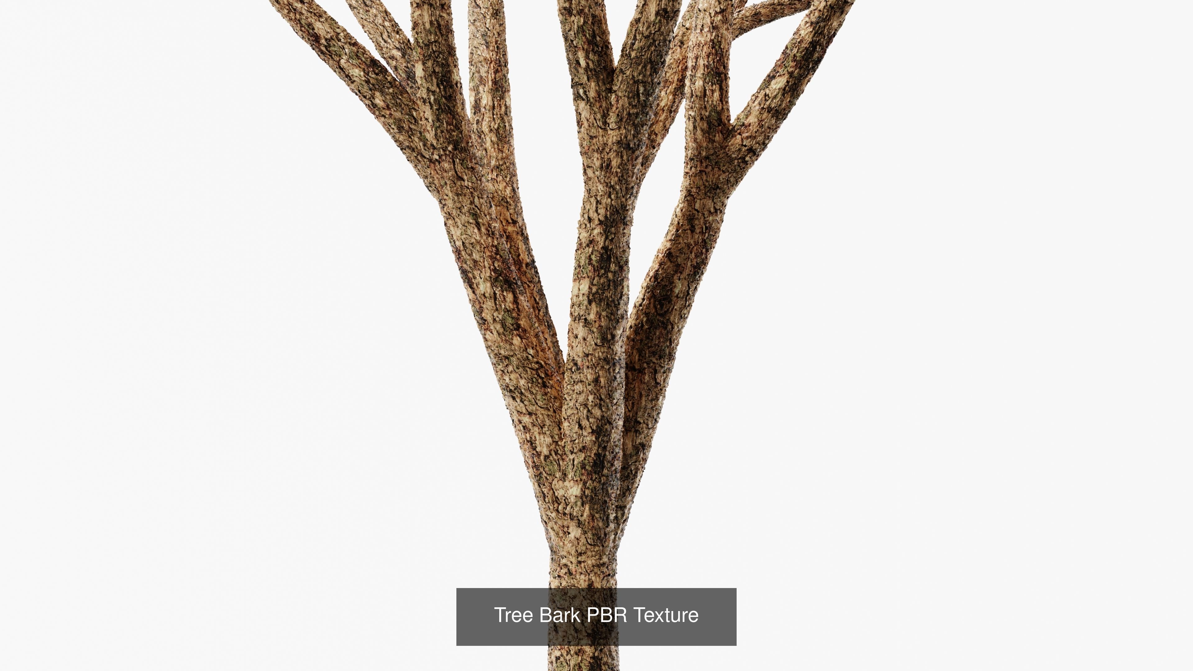 PBR Textures Collection Texture_20