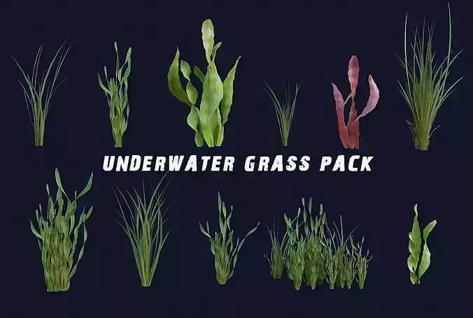 Underwater Grass Pack Low-poly 3D model