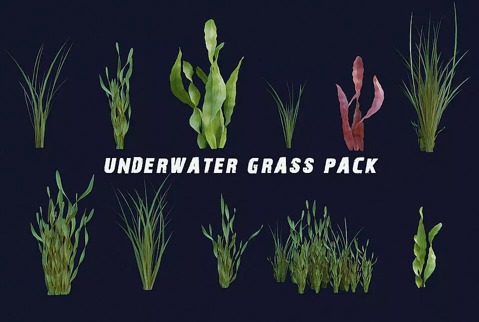 Underwater Grass Pack Low-poly 3D model