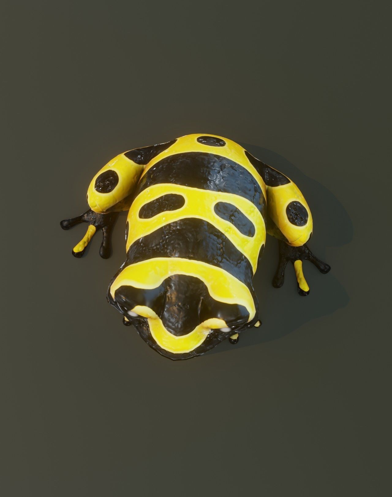 Cartoon Yellow-banded Frog Rigged 3D Model Low-poly 3D model_20