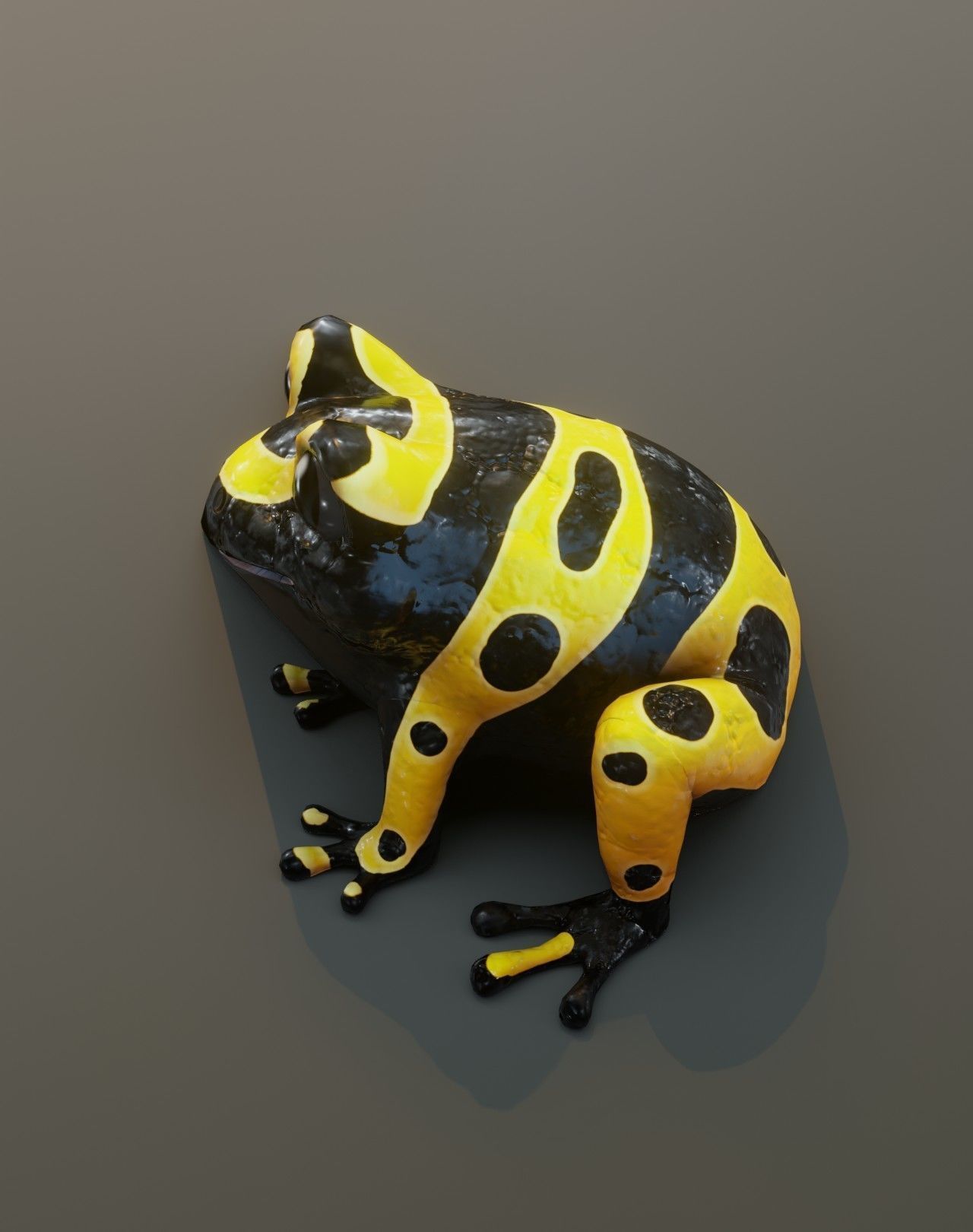 Cartoon Yellow-banded Frog Rigged 3D Model Low-poly 3D model_16