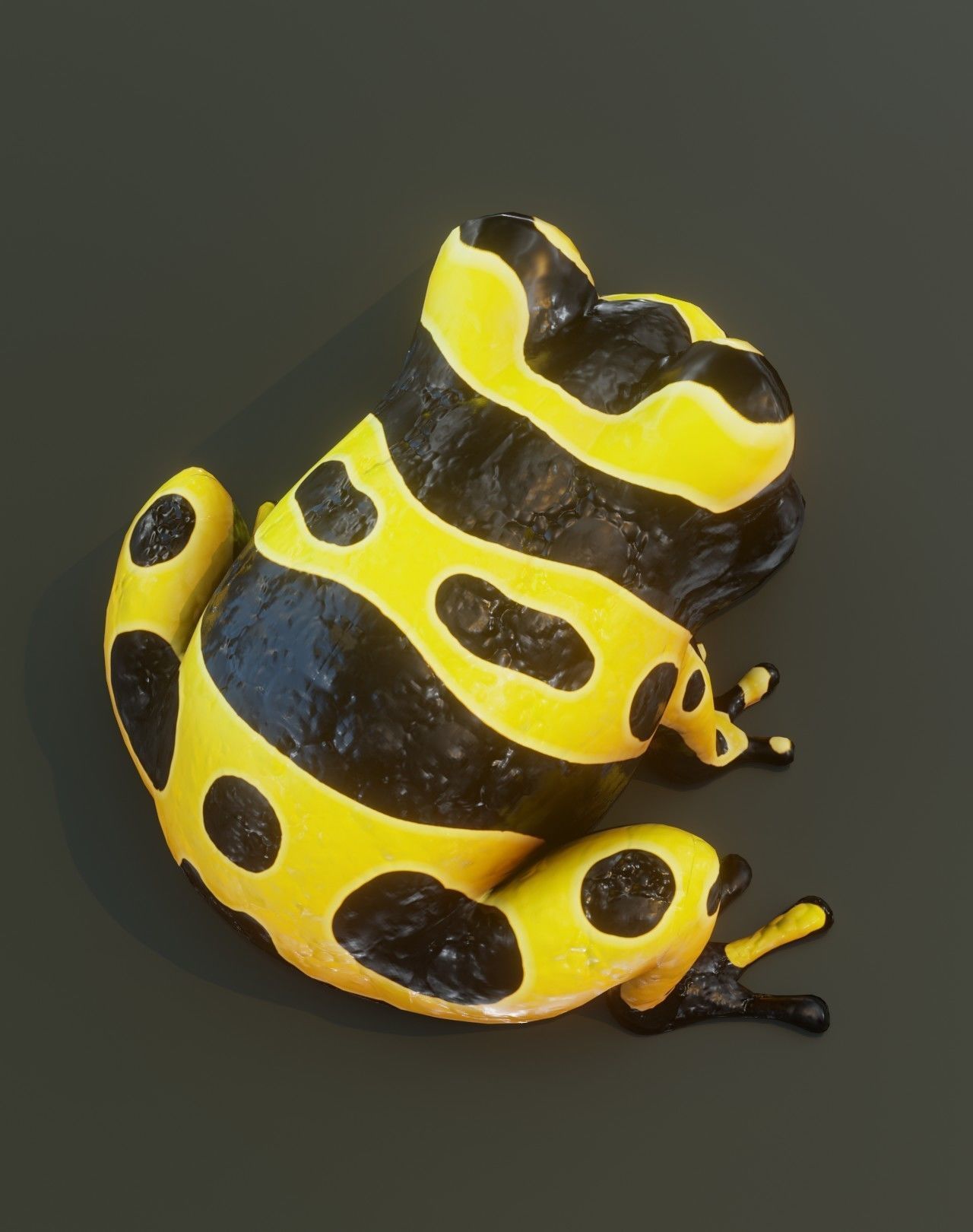Cartoon Yellow-banded Frog Rigged 3D Model Low-poly 3D model_18