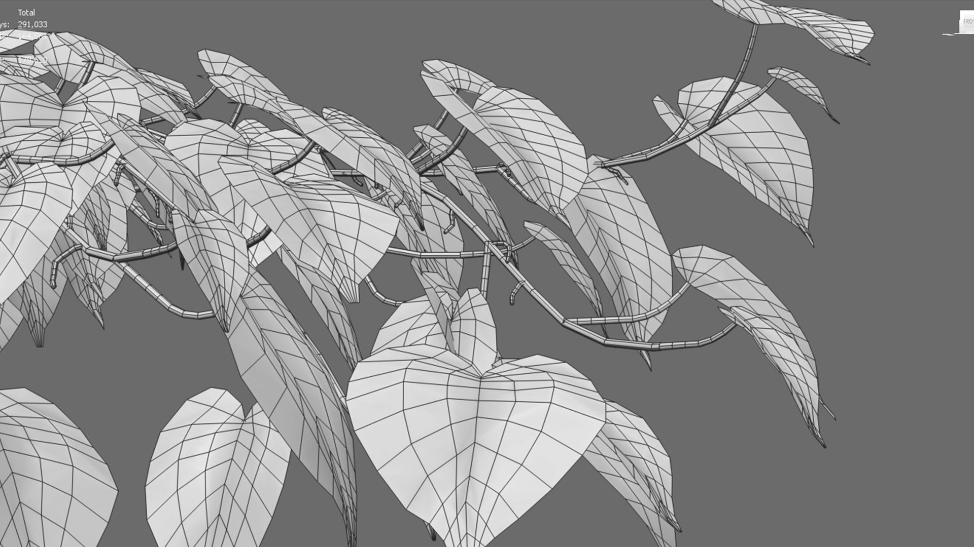 Epipremnum aureum - Money plant 3D model_5