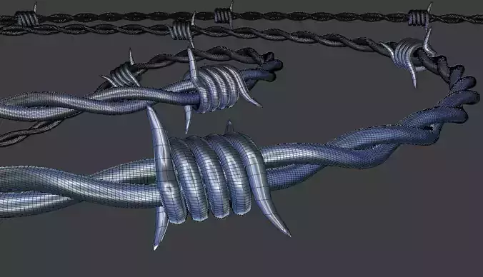 Barbed Wire  3D model