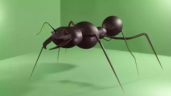 3d Ant