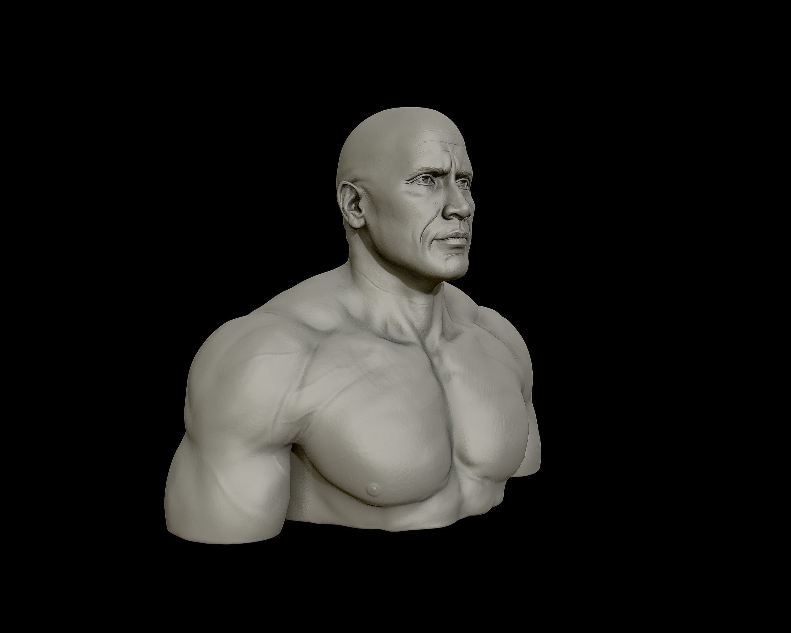 The Rock Portrait Sculpture 3D print model_18