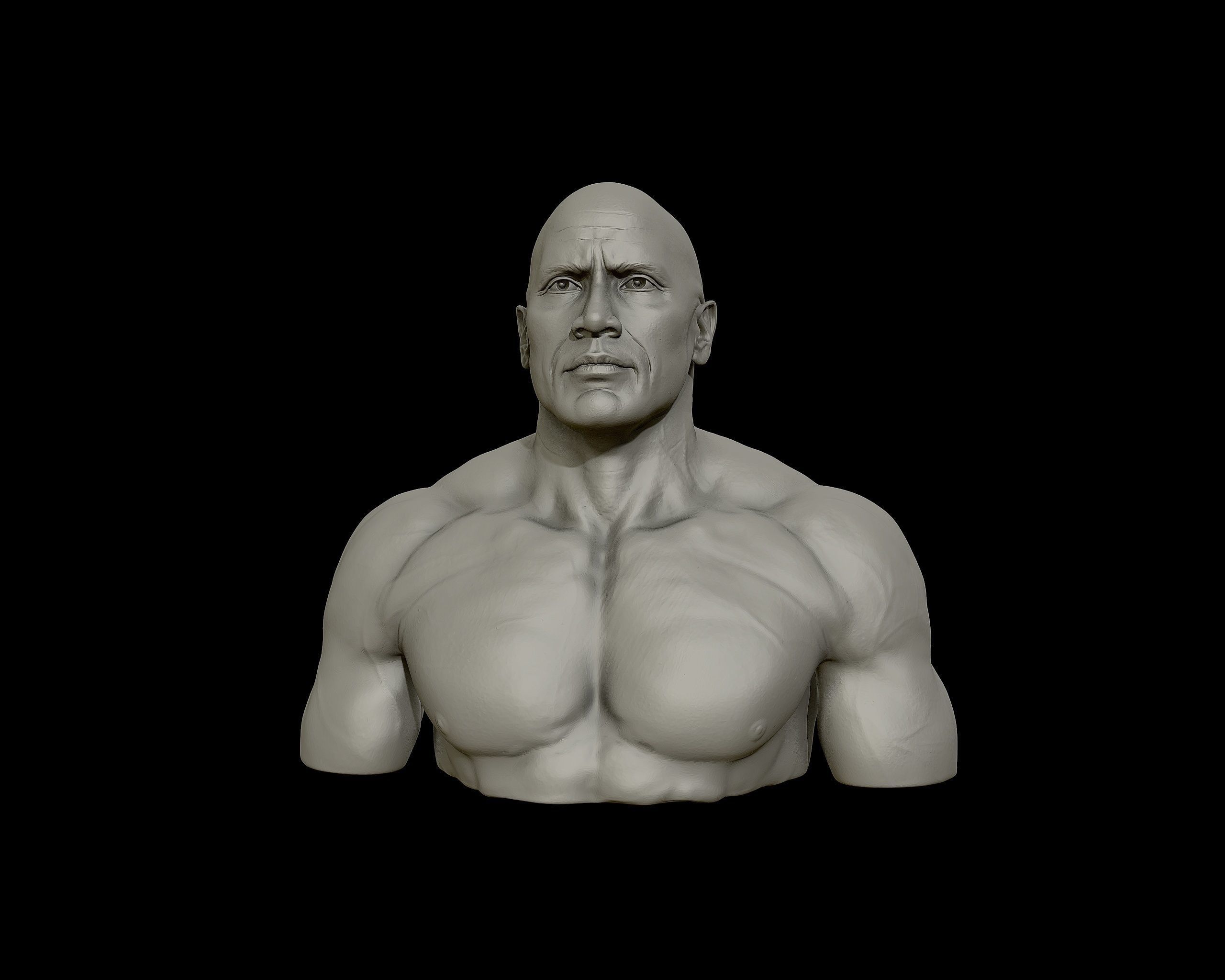 The Rock Portrait Sculpture 3D print model_28