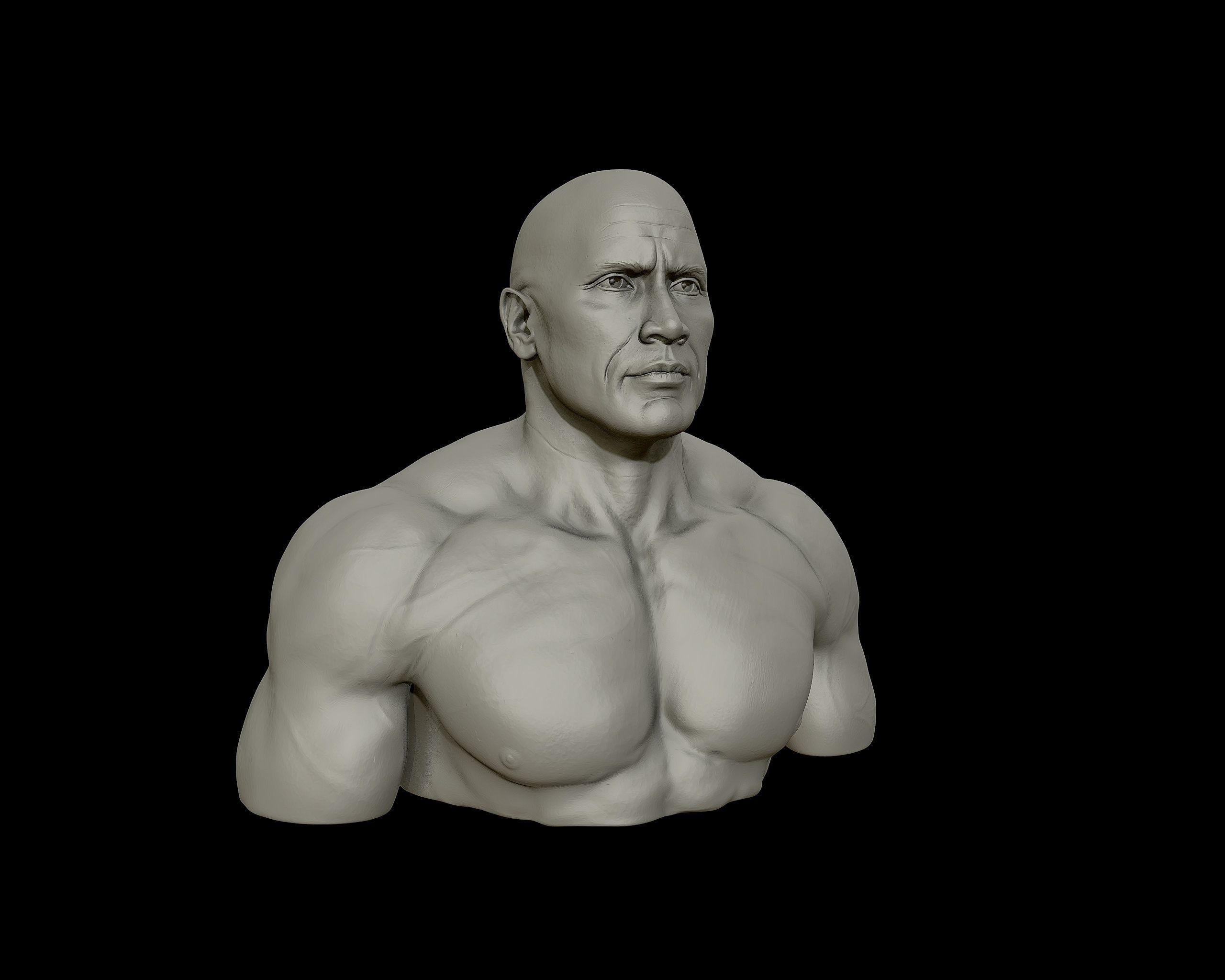 The Rock Portrait Sculpture 3D print model_17