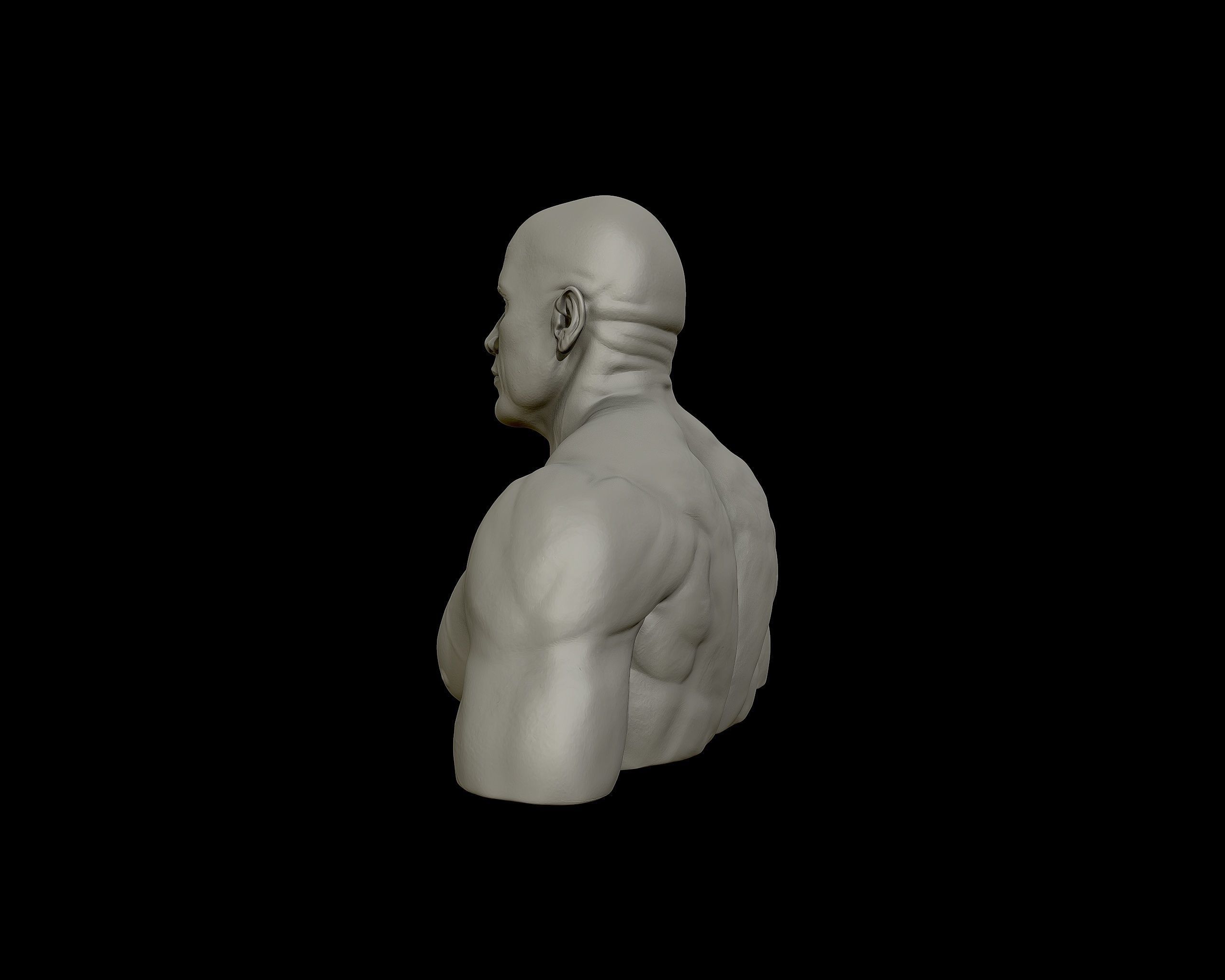 The Rock Portrait Sculpture 3D print model_22